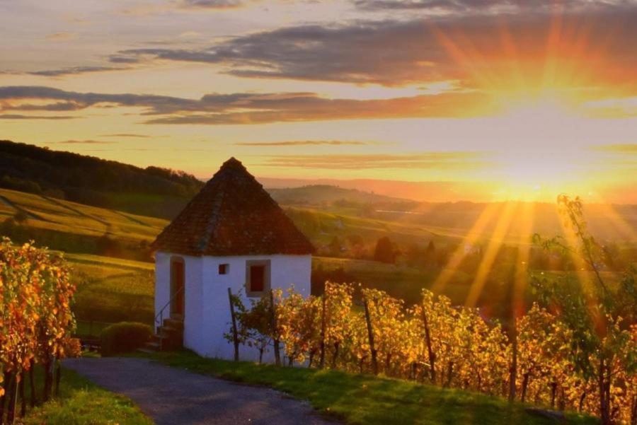 Ferienwohnung Rebblick Mullheim  Exteriér fotografie